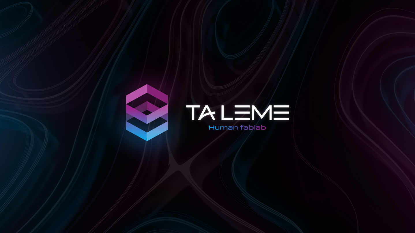taleme-fablab-mael-raineau-2