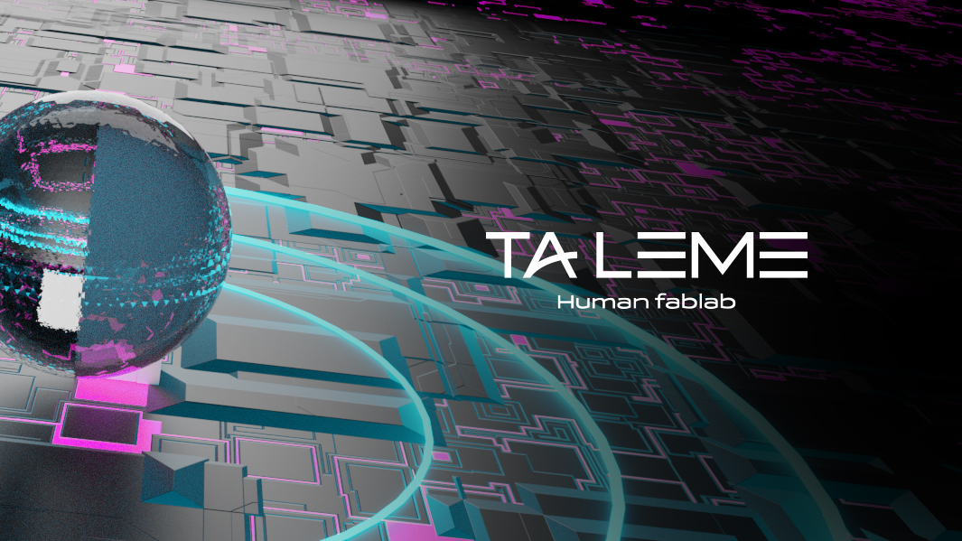 taleme-fablab-mael-raineau